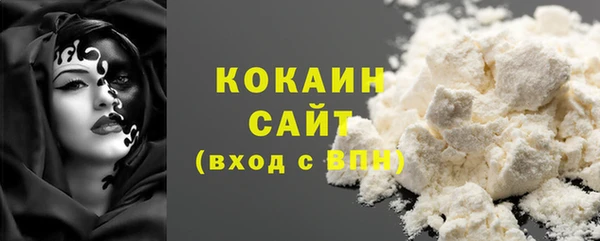 сатива Белокуриха