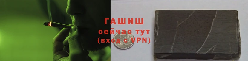 сатива Белокуриха