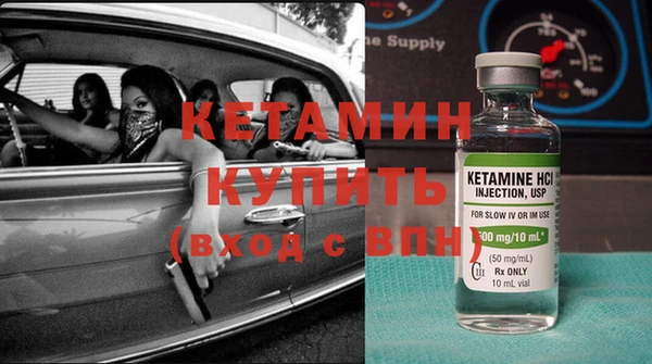 сатива Белокуриха