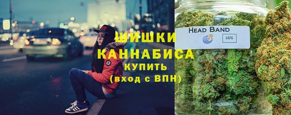 сатива Белокуриха
