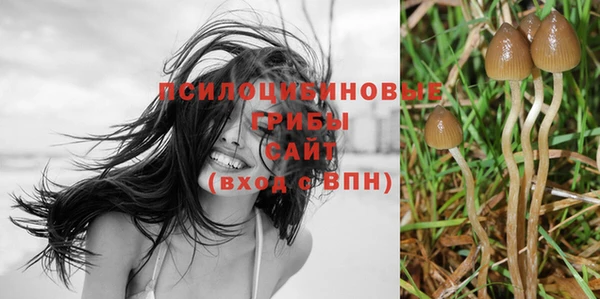 дурь Белоозёрский