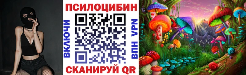 Галлюциногенные грибы Magic Shrooms ОМГ ОМГ зеркало Эртиль